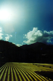 Snaps from around luktown
